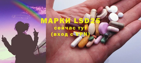 шишки Великий Новгород