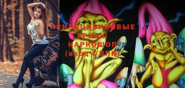 ГАЛЛЮЦИНОГЕННЫЕ ГРИБЫ Ладушкин