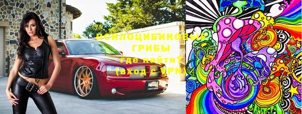 ECSTASY Лагань